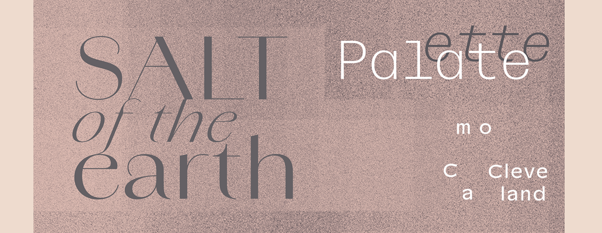 Palate/ette: Salt of the Earth